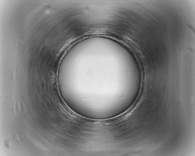X0000100211449200805300715