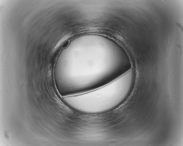 X0000100211450200805300715