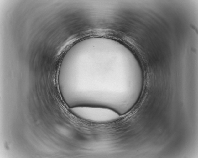 X0000100211451200805300715