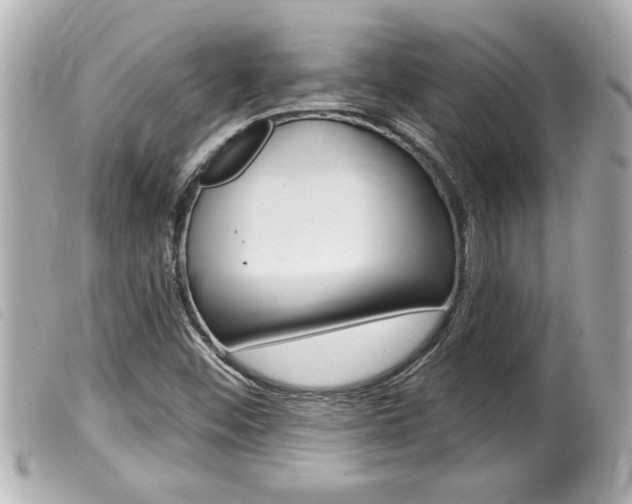 X0000100211452200805300715