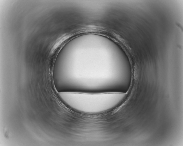 X0000100211453200805300715