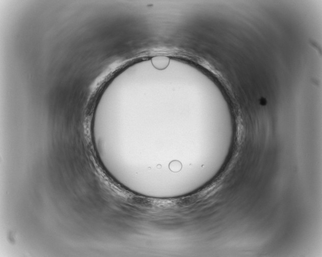 X0000100211454200805300715
