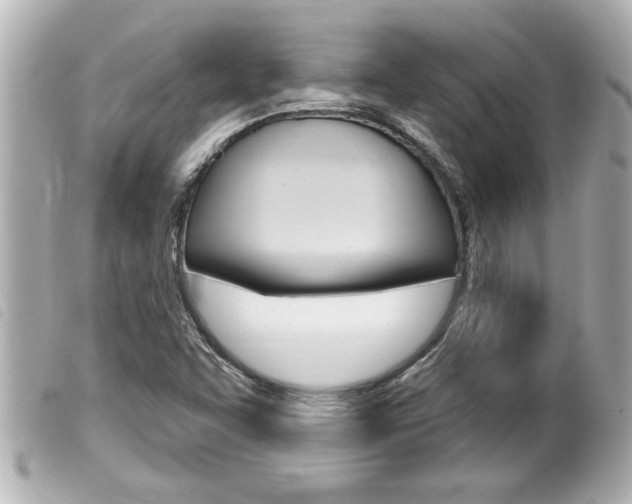 X0000100211455200805300715