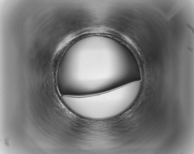 X0000100211456200805300715