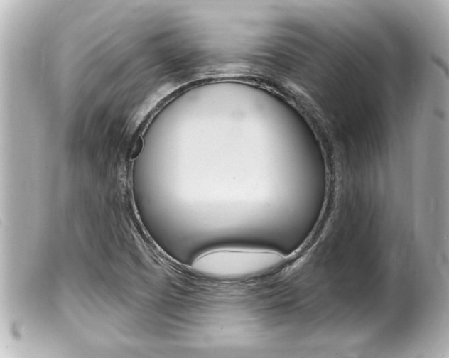 X0000100211457200805300715