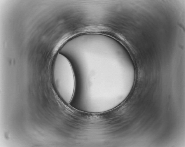 X0000100211459200805300715