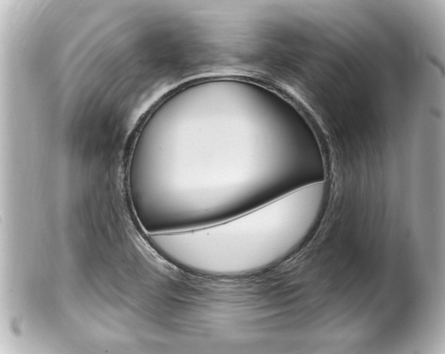 X0000100211460200805300715