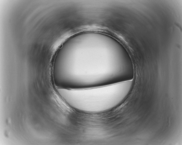 X0000100211463200805300715
