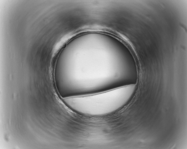 X0000100211464200805300715