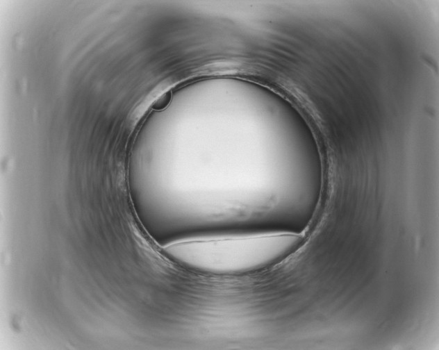 X0000100211465200805300715