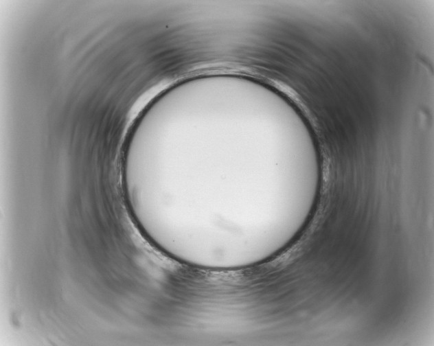 X0000100211466200805300715