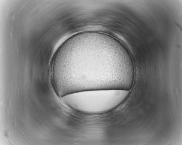 X0000100211467200805300715