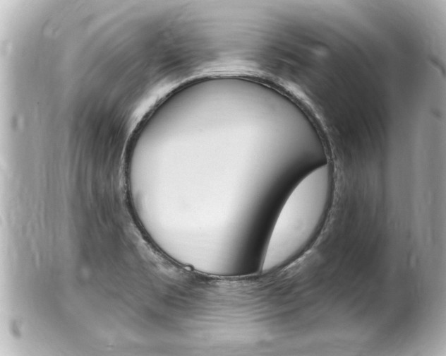 X0000100211469200805300715