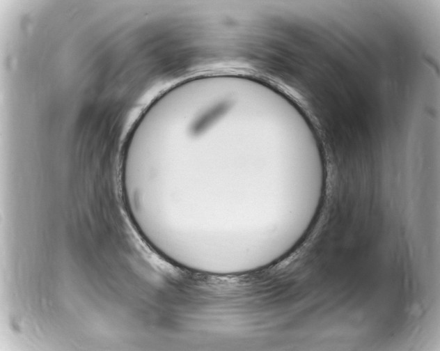 X0000100211470200805300715