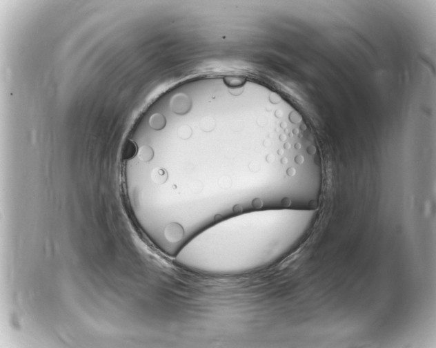 X0000100211471200805300715