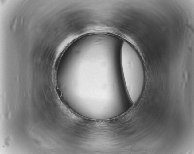 X0000100211472200805300715