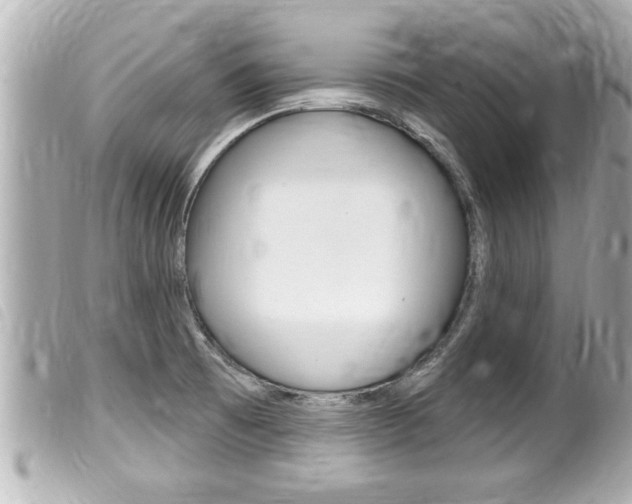 X0000100211473200805300715