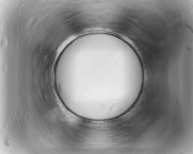 X0000100211474200805300715