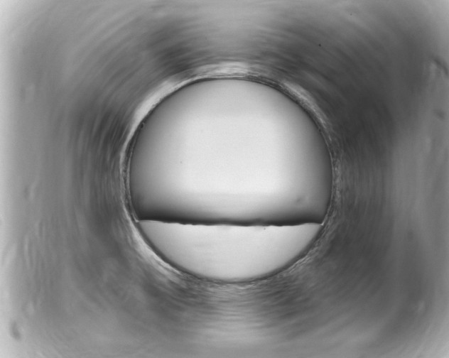 X0000100211475200805300715
