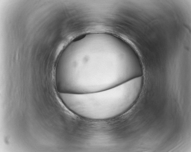 X0000100211477200805300715