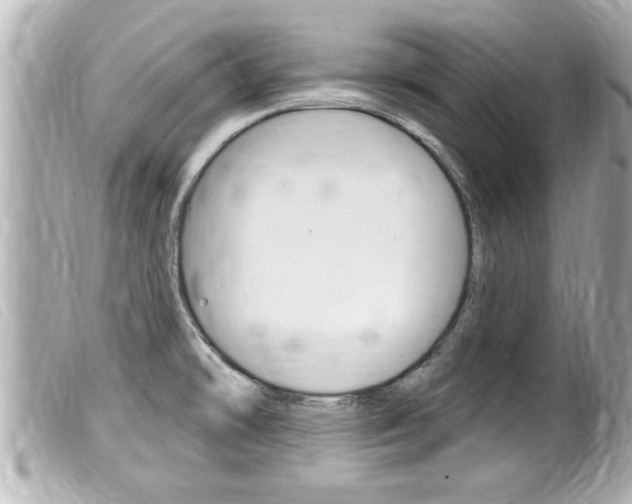 X0000100211478200805300715