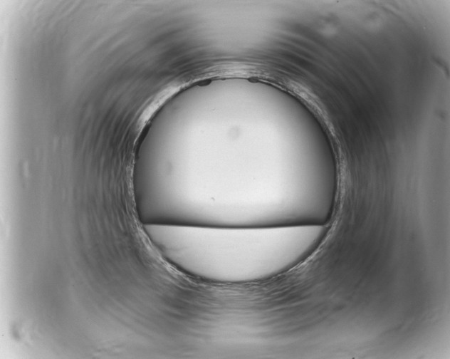 X0000100211481200805300715