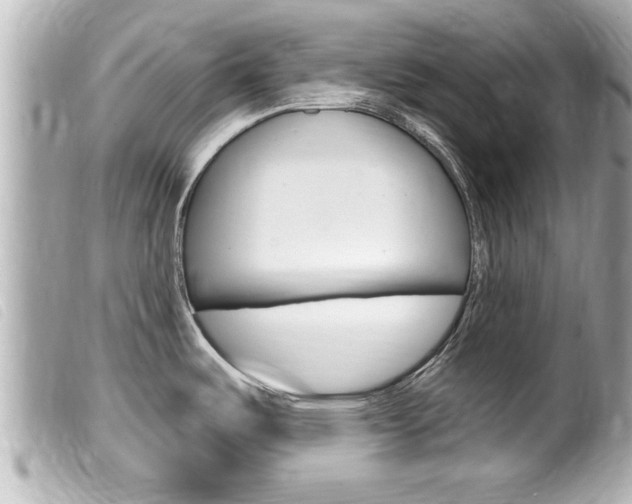 X0000100211487200805300715