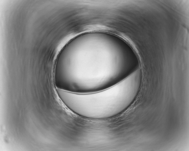 X0000100211488200805300715
