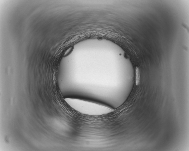 X0000100211491200805300714