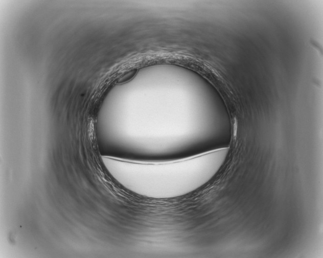 X0000100211492200805300714