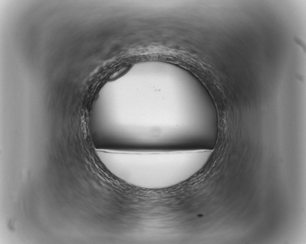 X0000100211493200805300714
