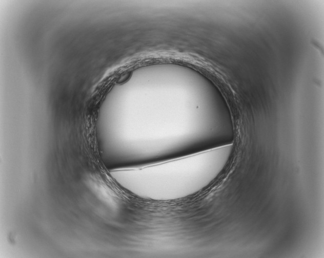 X0000100211494200805300714