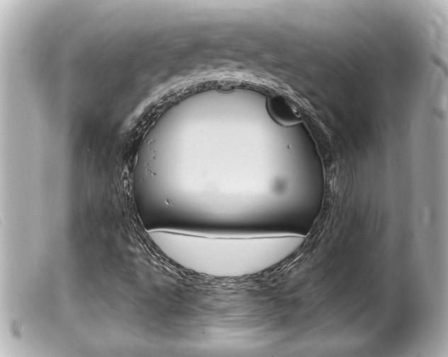X0000100211495200805300714