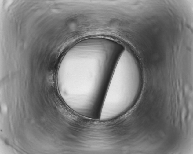 X0000100211497200805300714