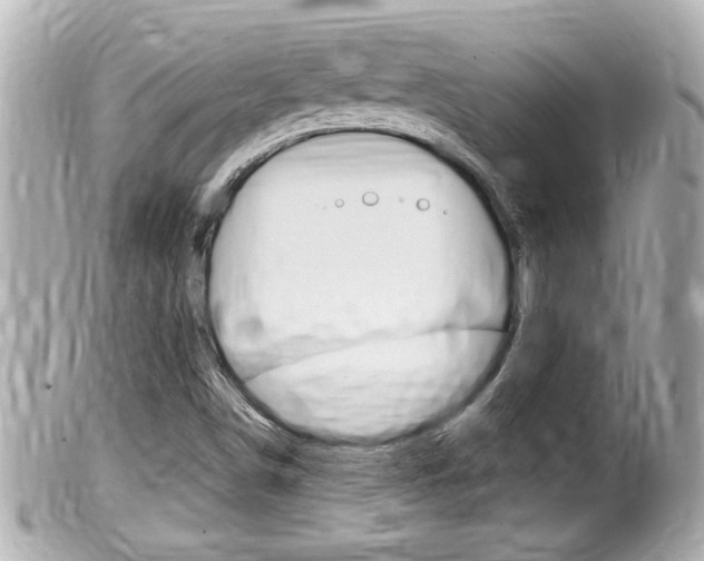 X0000100211498200805300714