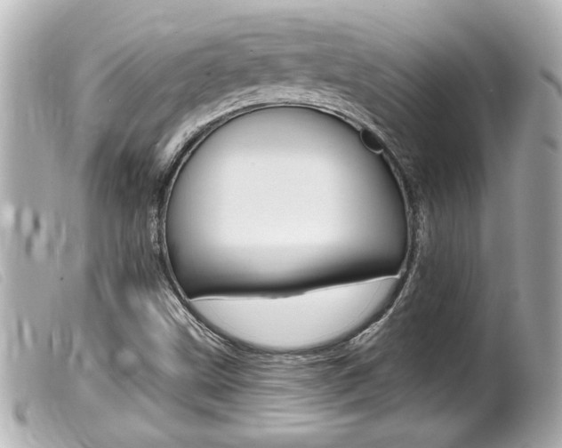 X0000100211499200805300714