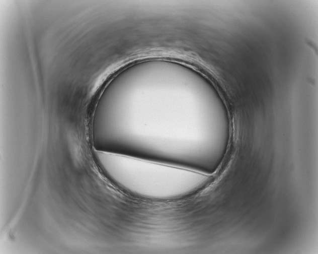 X0000100211501200805300714