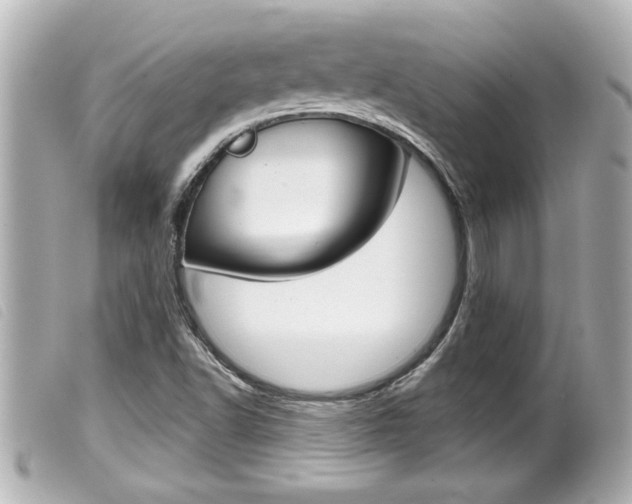 X0000100211502200805300714