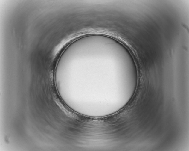 X0000100211503200805300714