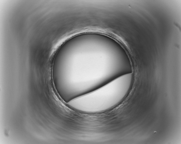 X0000100211504200805300714