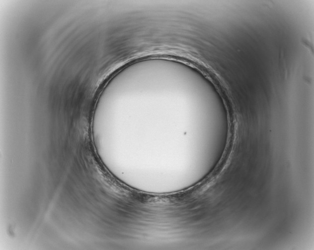 X0000100211505200805300714