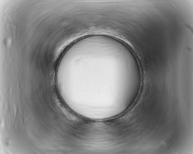 X0000100211507200805300714