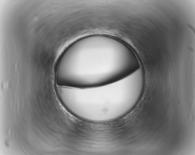 X0000100211508200805300714