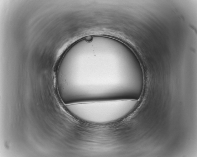 X0000100211509200805300714