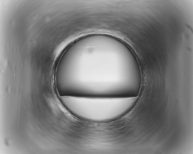 X0000100211511200805300714