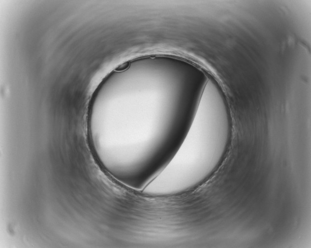 X0000100211512200805300714