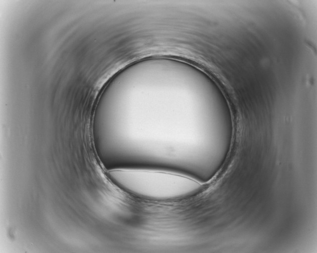 X0000100211513200805300715
