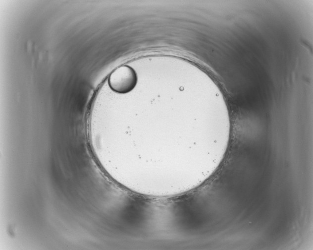 X0000100211514200805300715