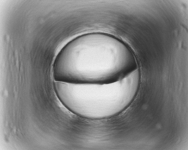 X0000100211516200805300715