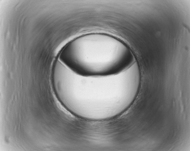X0000100211518200805300715